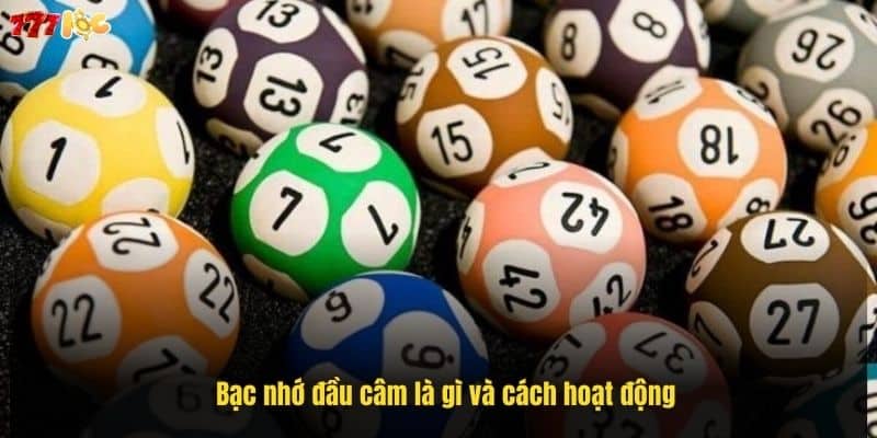 bac-nho-dau-cam-–-phuong-phap-soi-cau-giup-chot-so-chinh-xac