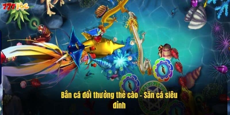 ban-ca-doi-thuong-the-cao-–-san-ca-sieu-dinh (1)
