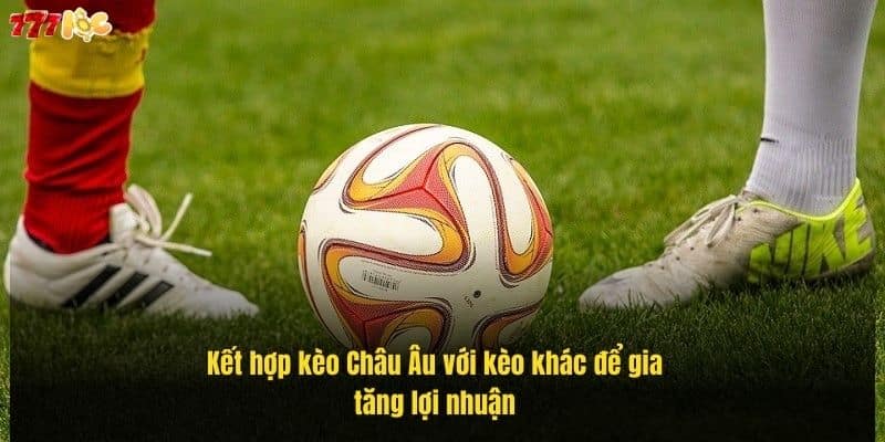 ket-hop-keo-chau-au-voi-keo-khac-de-gia-tang-loi-nhuan (1)