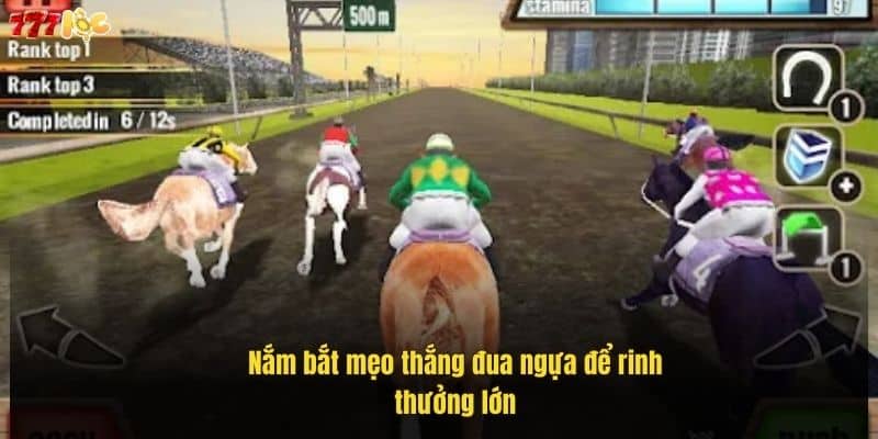 nam-bat-meo-thang-dua-ngua-de-rinh-thuong-lon (1)